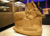 Les animaux et les pharaons. Le rgne animal dans l'Egypte ancienne