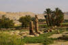 Le temple de Millions d'Années d'Aménophis III