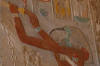 L'ibis, le nénuphar et le papyrus