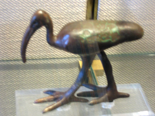 L'ibis du dieu Thot