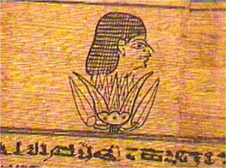 Un grand lotus sorti des eaux primordiales